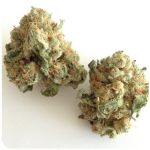 Шишки "White Widow"  (Белая вдова)  Гидропоника -  Бошка VHQ в Ворсме