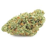 Шишки OG Kush  (Гидропоника, бошки) VHQ в Ворсме